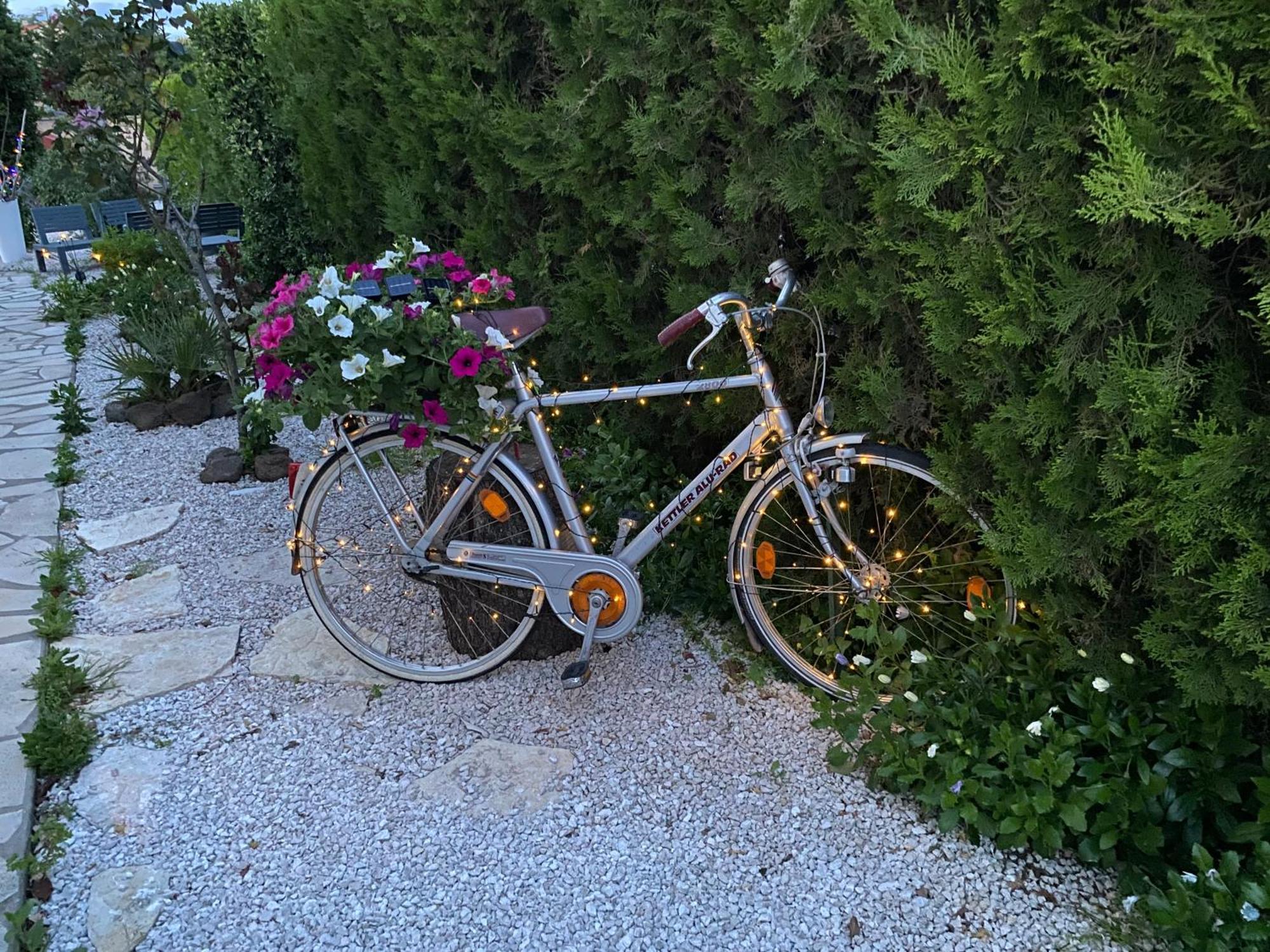 Hébergement de vacances Mont Saint Loup Agde